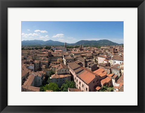 Framed Torre Guinigi, Lucca, Tuscany, Italy Print