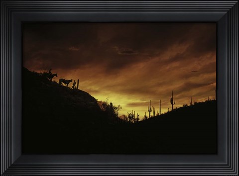 Framed Sunset over The Sonoran Desert, AZ Print