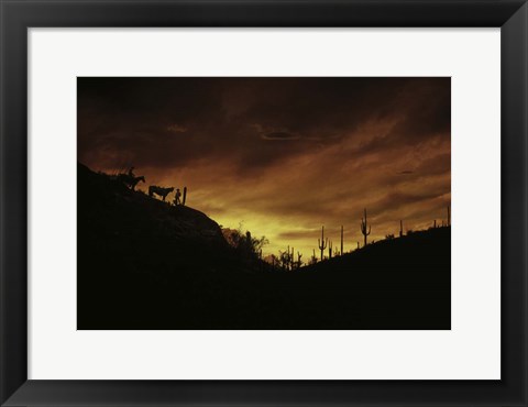 Framed Sunset over The Sonoran Desert, AZ Print