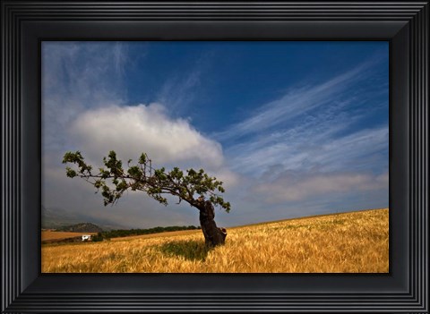 Framed Malaga Province, Andalusia, Spain Print