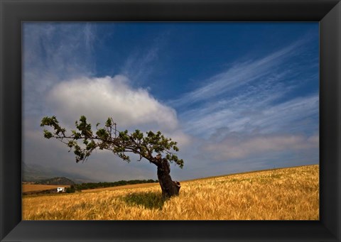 Framed Malaga Province, Andalusia, Spain Print