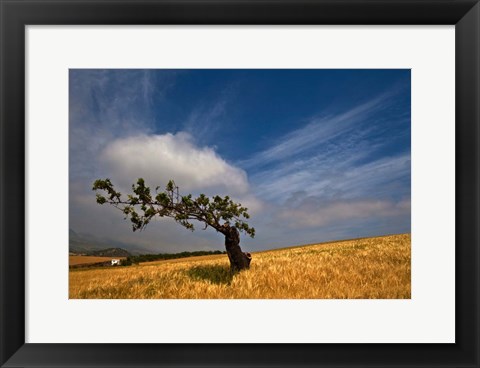 Framed Malaga Province, Andalusia, Spain Print