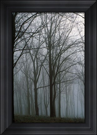 Framed Finger Lakes Region, New York Print