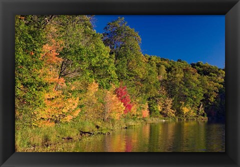 Framed Pillsbury State Forest, Minnesota Print