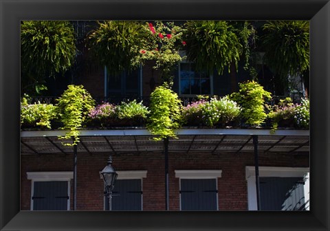 Framed French Quarter, New Orleans, Louisiana Print