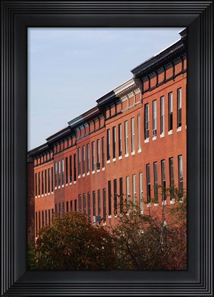 Framed Row Houses in the City, Bolton Hill, Baltimore, Maryland Print
