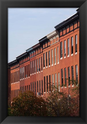 Framed Row Houses in the City, Bolton Hill, Baltimore, Maryland Print