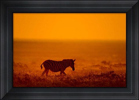 Framed Zebra in a Field, Etosha National Park, Namibia Print