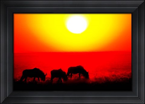 Framed Wildebeests, Etosha National Park, Namibia Print