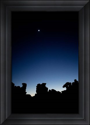Framed Quiver Tree Forest at Night, Namibia Print