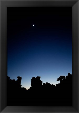 Framed Quiver Tree Forest at Night, Namibia Print