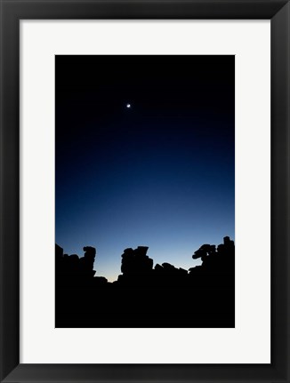 Framed Quiver Tree Forest at Night, Namibia Print