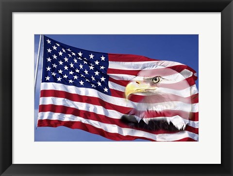 Framed Bald Eagle on Flag Print