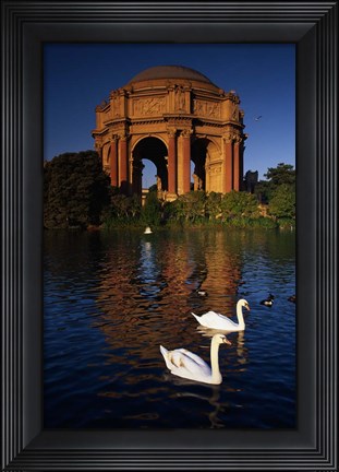 Framed Swans and Palace of Fine Arts Print