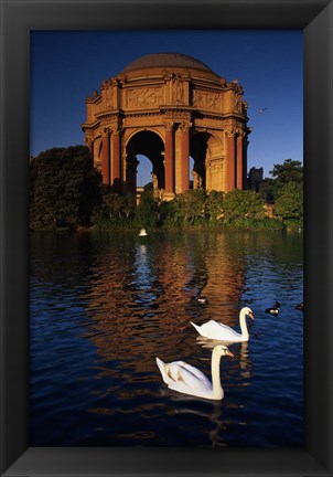 Framed Swans and Palace of Fine Arts Print