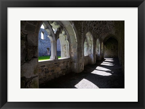 Framed Cloisters in Killmallock 12th Century Dominican Friary, Co Limerick, Ireland Print