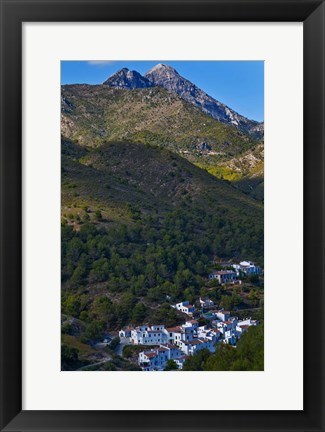 Framed El Acebuchal, Malaga, Spain Print