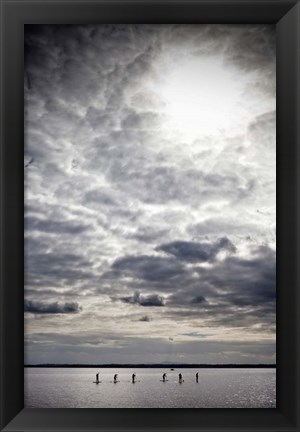 Framed Paddle Boarders on Strangford Lough, Northern Ireland Print