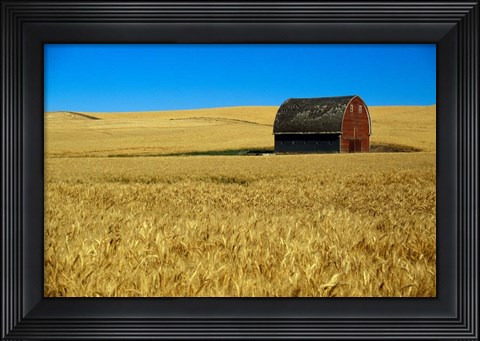 Framed Red barn in wheat field, Palouse region, Washington, USA. Print