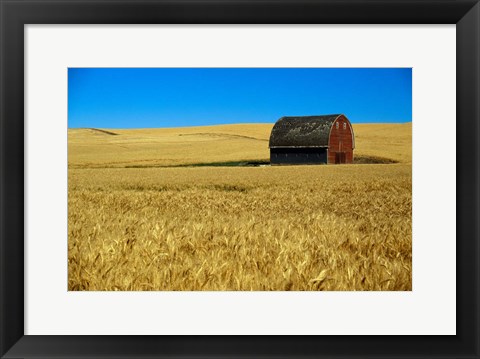 Framed Red barn in wheat field, Palouse region, Washington, USA. Print