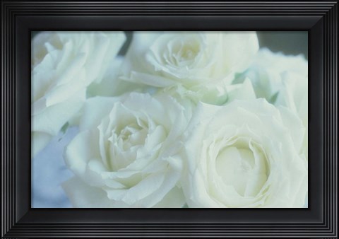 Framed Flowers Roses Print