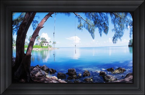 Framed Rope Swing Over Water, Florida Keys Print