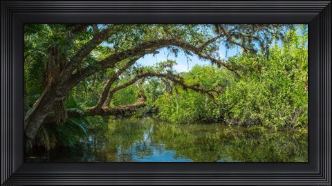 Framed Estero River in Fort Myers, Florida Print