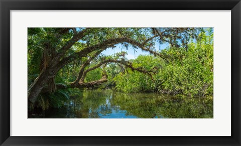 Framed Estero River in Fort Myers, Florida Print