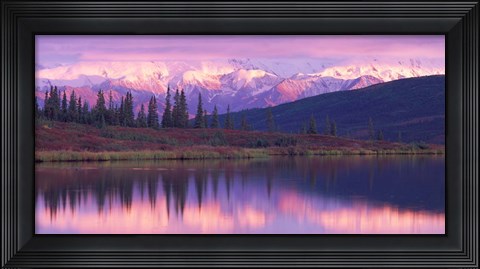 Framed Alaska Denali National Park Print