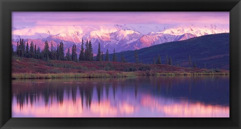 Framed Alaska Denali National Park Print