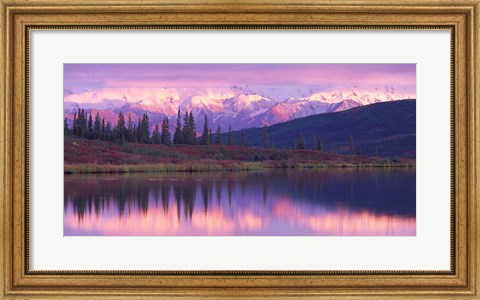 Framed Alaska Denali National Park Print
