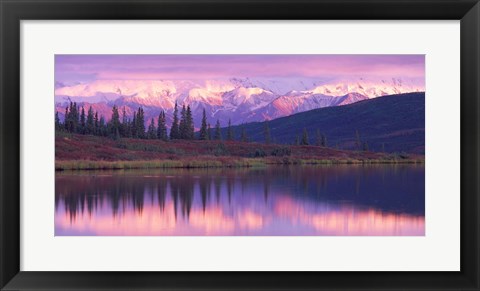 Framed Alaska Denali National Park Print