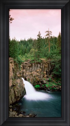 Framed Forest Waterfall, Shasta, California Print