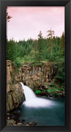Framed Forest Waterfall, Shasta, California Print