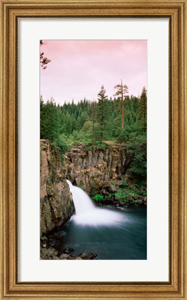 Framed Forest Waterfall, Shasta, California Print