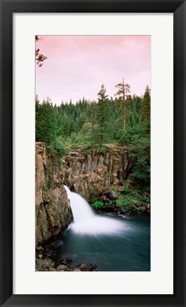 Framed Forest Waterfall, Shasta, California Print