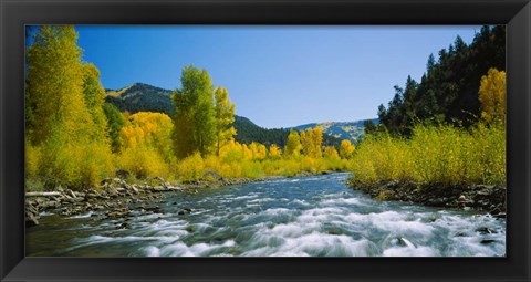 Framed San Miguel River, Colorado Print