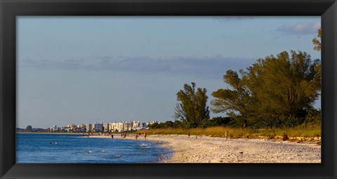 Framed Beach, Naples, Collier County, Florida Print