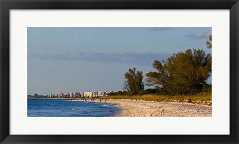 Framed Beach, Naples, Collier County, Florida Print