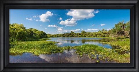 Framed Deer Prairie Creek Preserve, Sarasota County, Venice, Florida Print