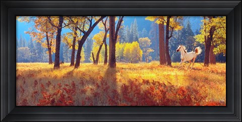 Framed Yosemite Park, California Print