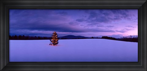 Framed Christmas Tree in the Snow, New London, New Hampshire Print