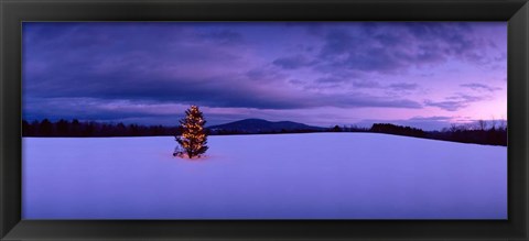 Framed Christmas Tree in the Snow, New London, New Hampshire Print