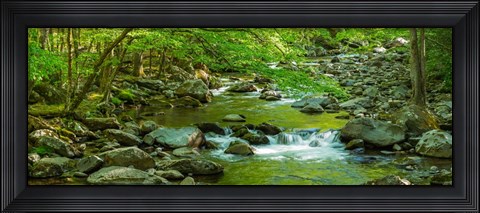 Framed Creek in Great Smoky Mountains National Park, Tennessee Print
