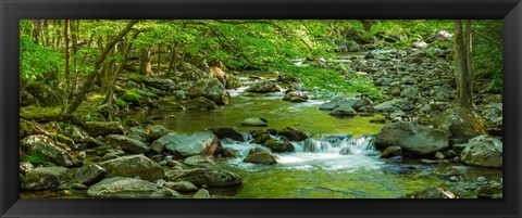 Framed Creek in Great Smoky Mountains National Park, Tennessee Print