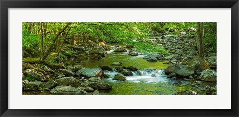 Framed Creek in Great Smoky Mountains National Park, Tennessee Print