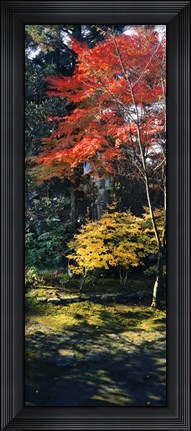 Framed Statue of Buddha in a garden, Anraku-Ji Temple, Kyoto Prefecture, Japan Print