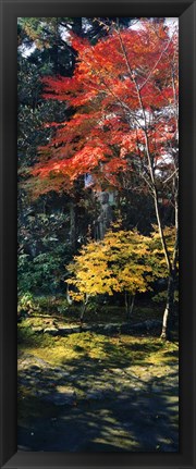 Framed Statue of Buddha in a garden, Anraku-Ji Temple, Kyoto Prefecture, Japan Print