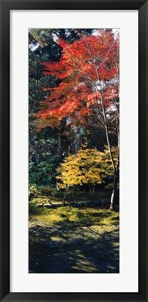 Framed Statue of Buddha in a garden, Anraku-Ji Temple, Kyoto Prefecture, Japan Print