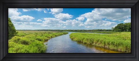 Framed Myakka River State Park, Sarasota, Florida Print